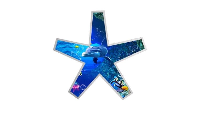 Pentagram Series | Obvious.